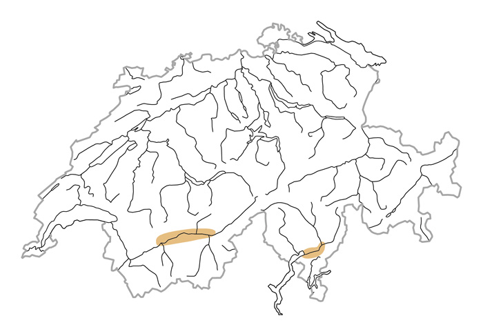 Verbreitung - Petit-duc scops