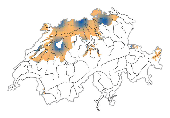 Verbreitung - Pic cendré